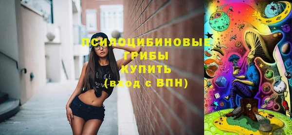 винт Армянск