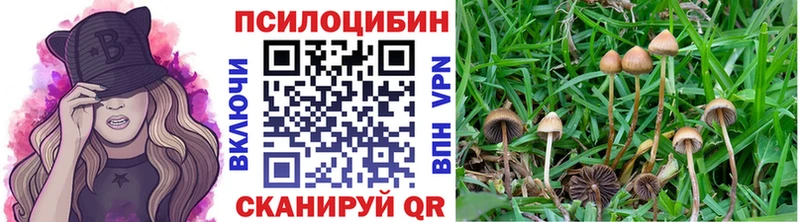 Псилоцибиновые грибы Cubensis  как найти   Белёв 
